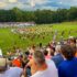 Friday Night Football