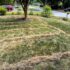 Three Lawns