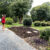 Yard Renovation