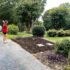 Yard Renovation