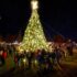 Lighting the Tree