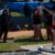 High Jump