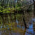 Congaree