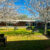 Spring at School