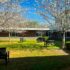 Spring at School