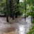 Flood 2023