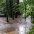 Flood 2023