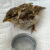 Injured Friend