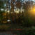 Evening Walk