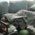 Nap