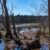 Spring Sunday