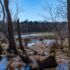 Spring Sunday