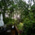 Spring Showers