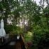 Spring Showers
