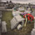 Old Grave New