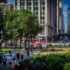 Chicago Walk