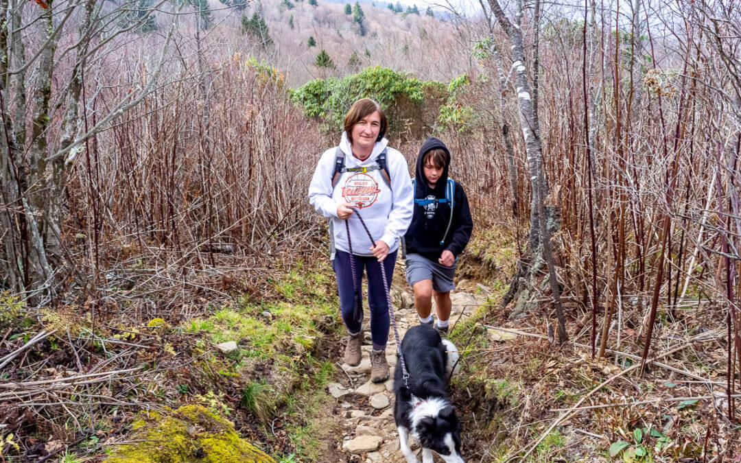 Black Balsam Knob