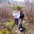 Black Balsam Knob