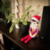 Elf