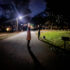 Friday Evening Walk