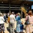 Palm Sunday 2025
