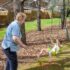 Nana, the Girl, and the Swing
