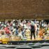 Greenville Youth Orchestra