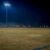 Soccer Saturday