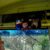 Fieldtrip