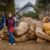 Asheville Visit