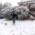 Actual Snow 2026