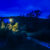 LW Centrum Night