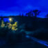 LW Centrum Night