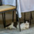 Athens Cat