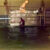 Swimming Lessons
