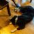 Rainy Tuesday