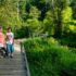 Conestee Walk