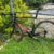 New Bike