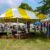 Mars Hill Bluegrass