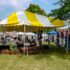 Mars Hill Bluegrass