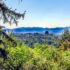 Ride to Beaver Lake