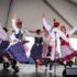 Spartanburg International Festival
