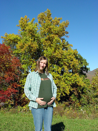 Parkway Autumn VI