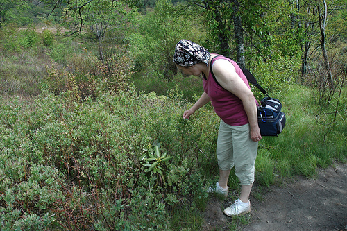 Babcia looks at the flora