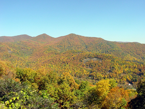 Parkway Autumn II