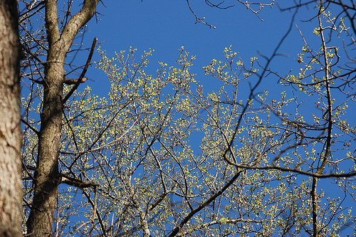 DSC_4433