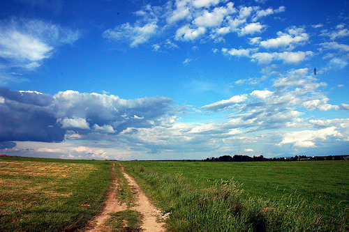 DSC_4630