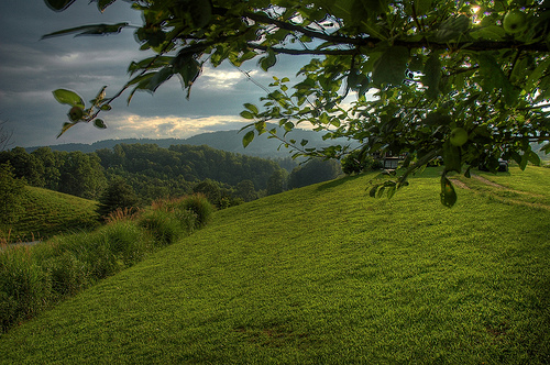 DSC_6320_21_19_tonemapped