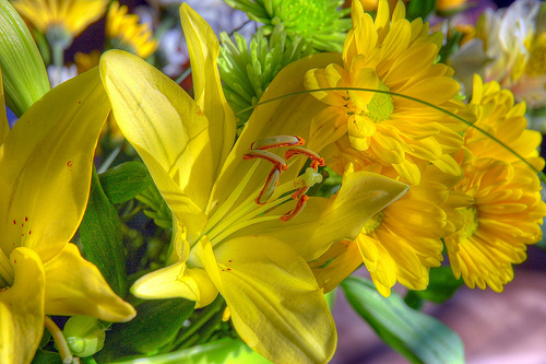 DSC_1199_200_198_tonemapped