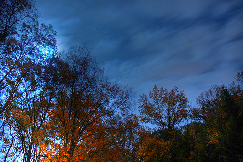 HDR 1
